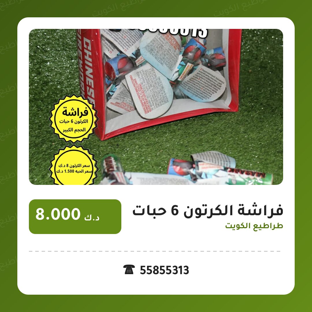 دليل فراشة الكرتون 6 حبات الحجم الكبير: كل ما تحتاج معرفته قبل الطلب