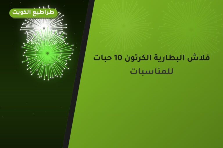 هل فلاش البطارية الكرتون 10 حبات مناسب لمناسبتك؟ دليل الاختيار والسعر