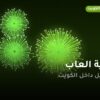 نارية العاب في الكويت: ما تحتاج معرفته قبل الطلب