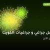 أفضل جراغي و جراغيات الكويت بسعر أقل من 10 د.ك