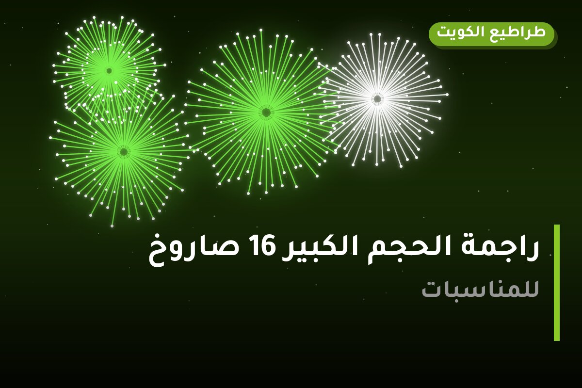 راجمة الحجم الكبير 16 صاروخ: السعر والاستخدام الآمن وأفضل المناسبات