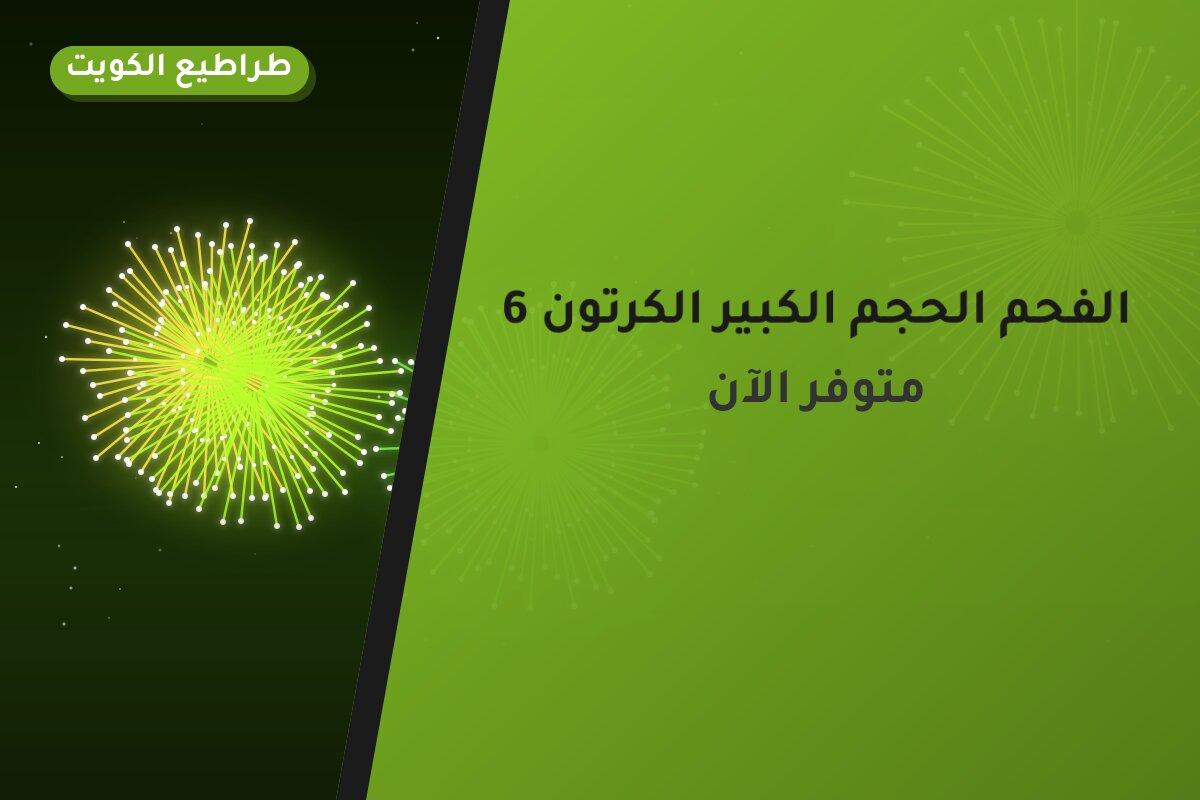 دليل الفحم الحجم الكبير الكرتون 6 حبات: كل ما تحتاج معرفته قبل الطلب