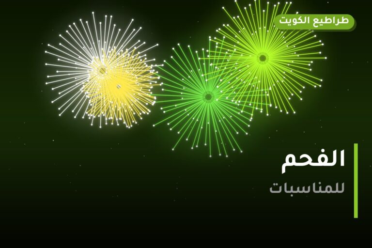 هل الفحم مناسب لمناسبتك؟ دليل الاختيار والسعر