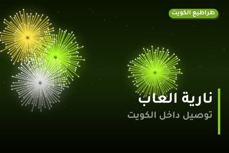 هل نارية العاب مناسب لمناسبتك؟ دليل الاختيار والسعر